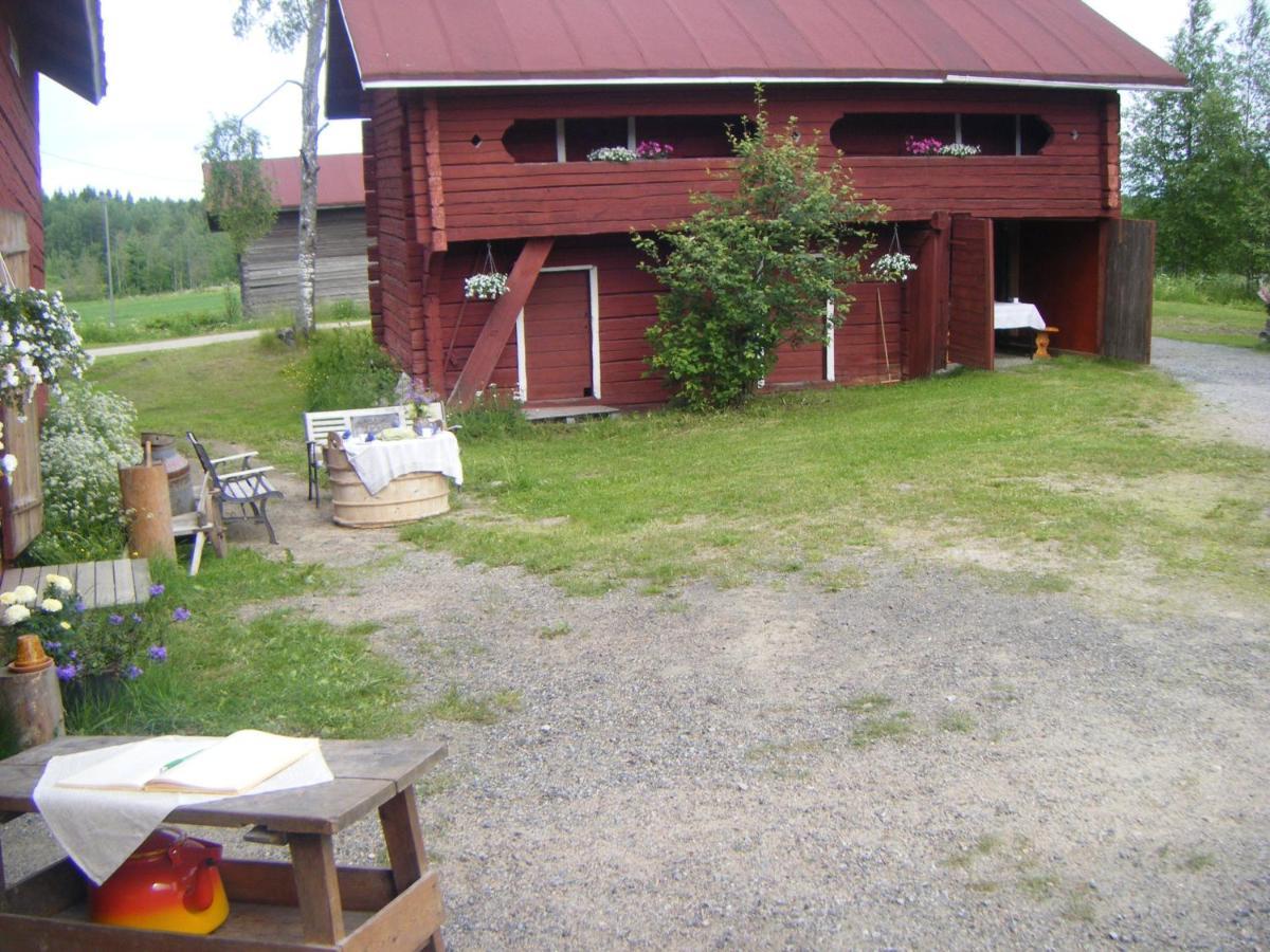 Lemettilae Countryside Accommodation Petäjävesi Eksteriør bilde