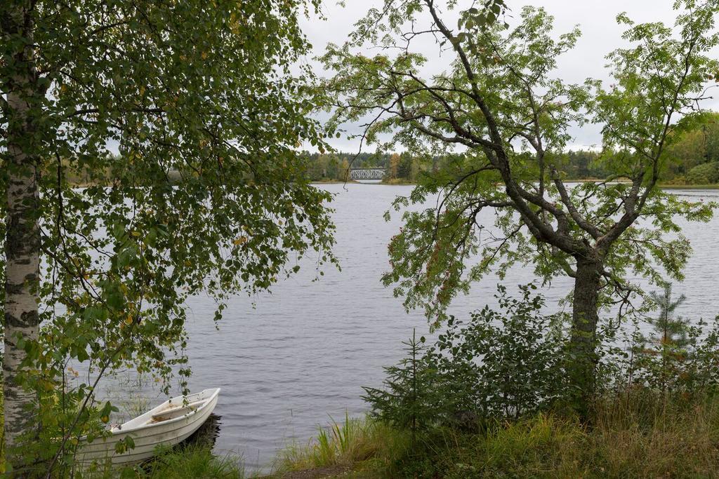 Lemettilae Countryside Accommodation Petäjävesi Eksteriør bilde